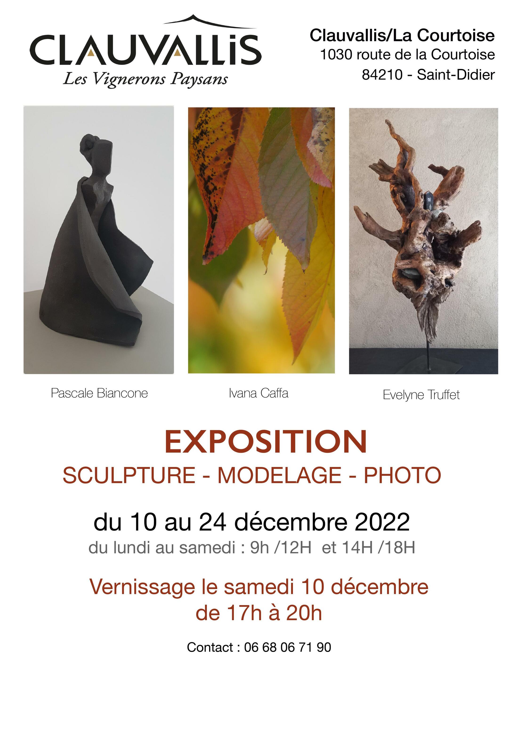 Exposition Espace Clauvallis de Sculptures,  Modelages et Photos