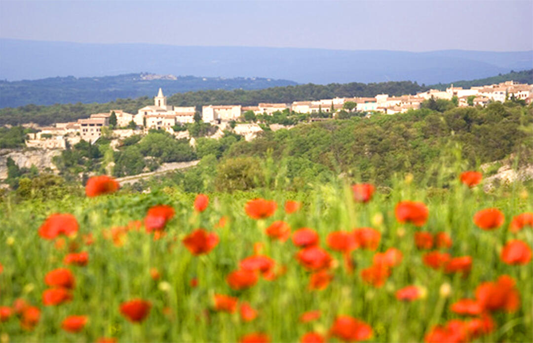 BALADES DE TERROIR ENTRE VENASQUE ET MALEMORT DU COMTAT